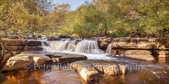 0420 - 0143  Cascading River Swale