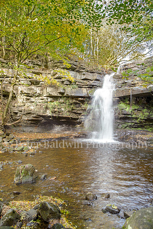 0420 - 0133  Summerhill Force