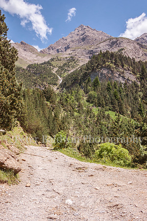 0420 - 0155  Mountain Pathway