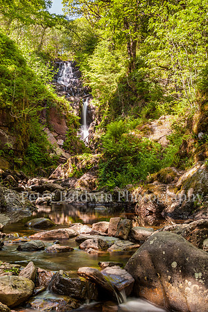 0221 - 0022  Follow the Waterfall