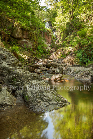 0221 - 0023  Woodland Waters