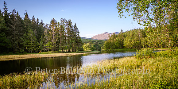0221 - 0015  Picnic Spot